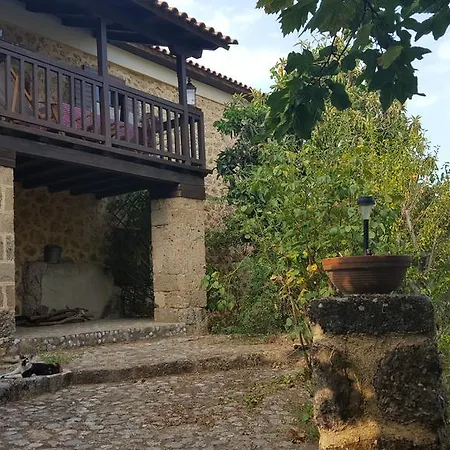 Rustic Platanus Villa