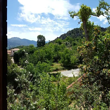 Rustic Platanus Villa *